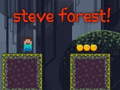 Игра Steve Forest