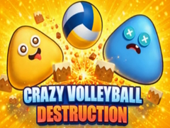 Игра Crazy Volleyball Destruction