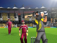 Игра World Cricket Championship