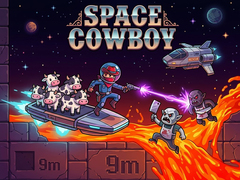 Игра Space Cowboy