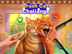Игра Brush Cat Challenge 
